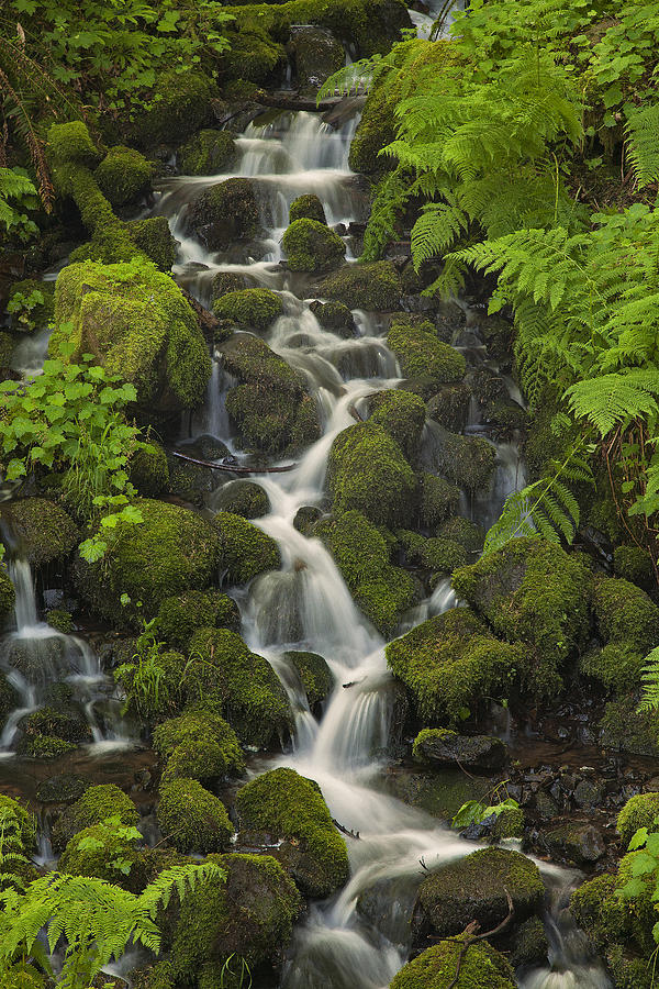 Waterfall Photograph - A Quiet Stream by Raul Lopez