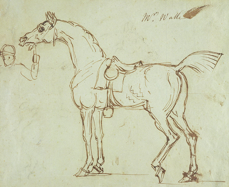 Horse Drawing - A Racehorse, Bridled And Saddled by James Seymour Horse Drawing - A Racehorse, Bridled And Saddled by James Seymour