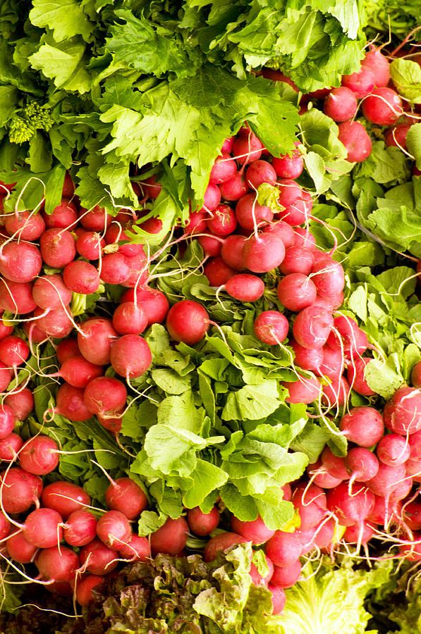 Abstract Photograph - A Radish Convention by Dave Byrne