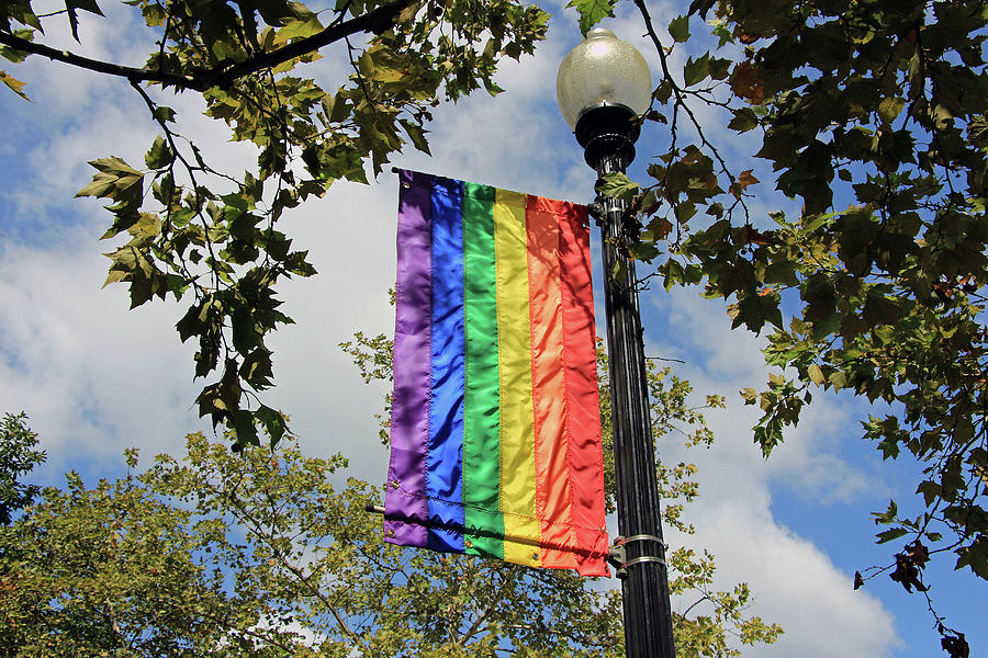 A Rainbow Flag In My Neighborhood Photograph by Cora Wandel