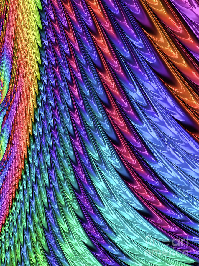 A Rainbow Of Feathers Digital Art