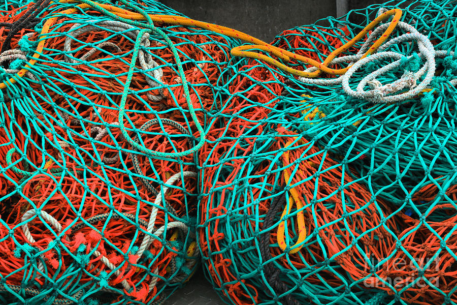 A Rainbow Of Nets And Ropes Photograph by Adam Jewell