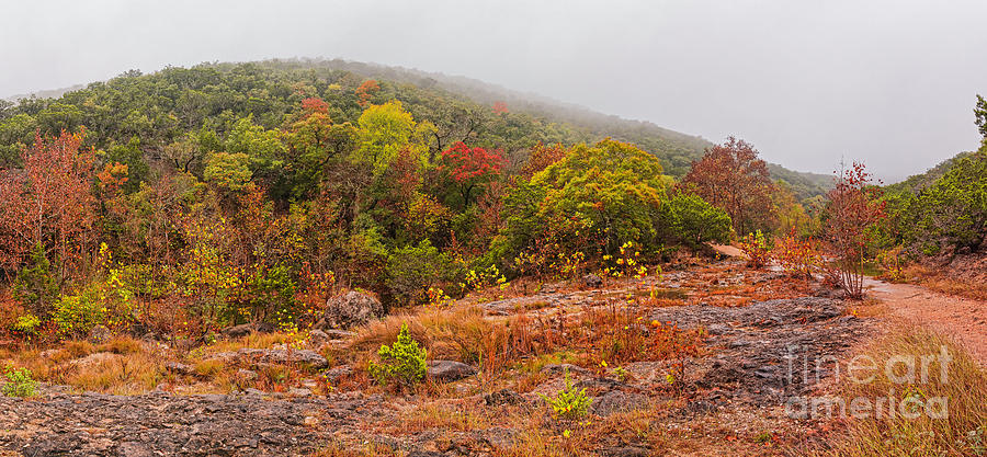 A Rainy and Foggy Day at Lost Maples State Natural Area - Texas Hill Country Photograph by Silvio Ligutti