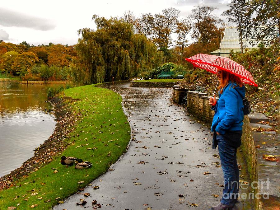 A Rainy Autumn Day at Hesketh Park Photograph by Joan-Violet Stretch