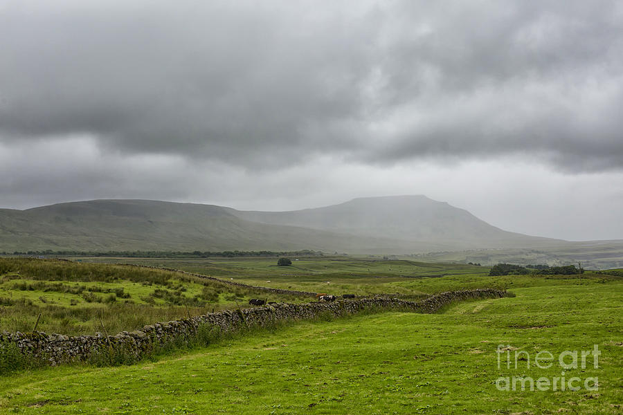 A rainy day in the Dales Photograph by Patricia Hofmeester