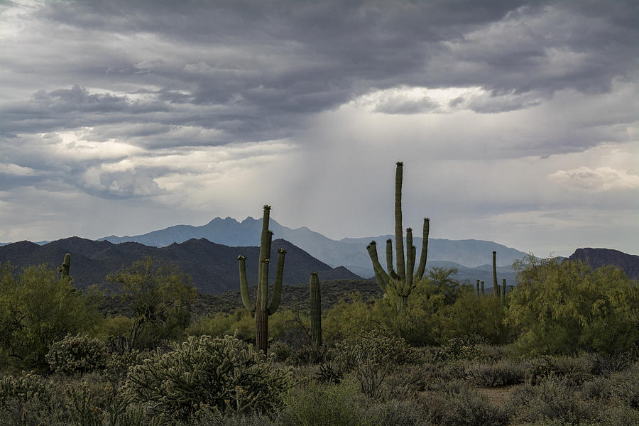 A Rainy Desert Afternoon Photograph by Saija Lehtonen - Fine Art America