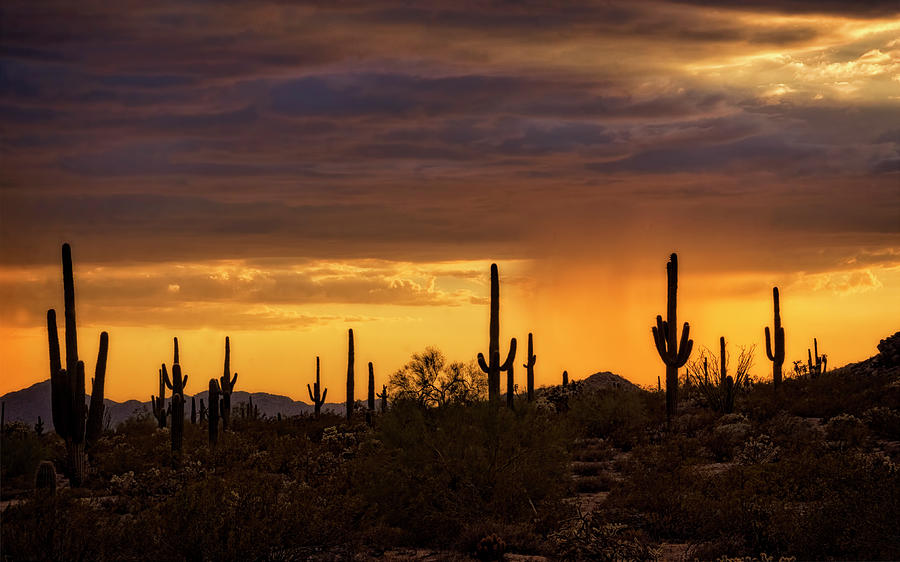 A Rainy Desert Sunset  Photograph by Saija Lehtonen