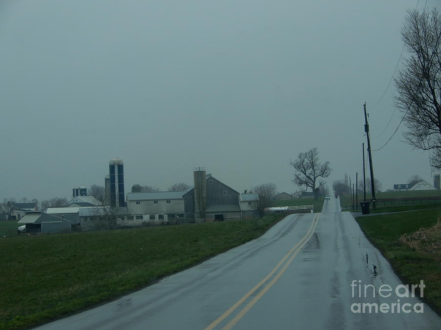 Horse Photograph - A Rainy Road Home by Christine Clark