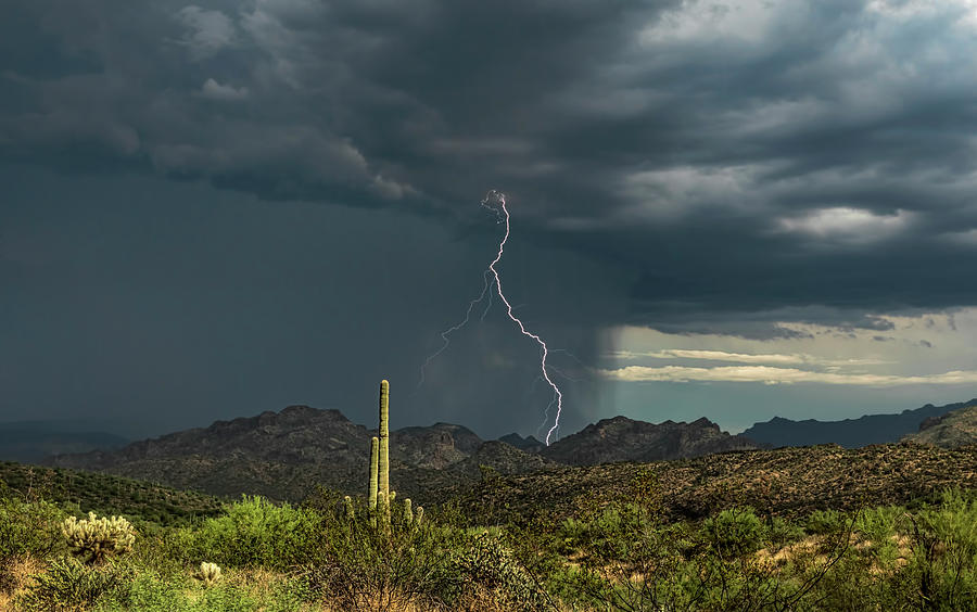 A Rainy Sonoran Day  Photograph by Saija Lehtonen