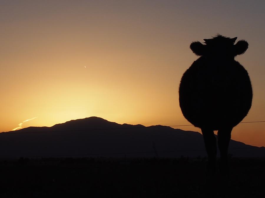 Ranch Photograph - A Ranchers Sunset by Kayla Hall Ranch Photograph - A Ranchers Sunset by Kayla Hall