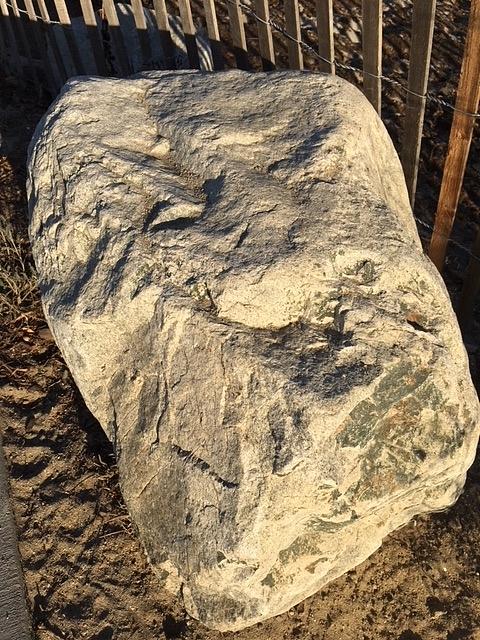 A Real Rockhound's Rock by Paula Hunter A Real Rockhound's Rock by Paula Hunter