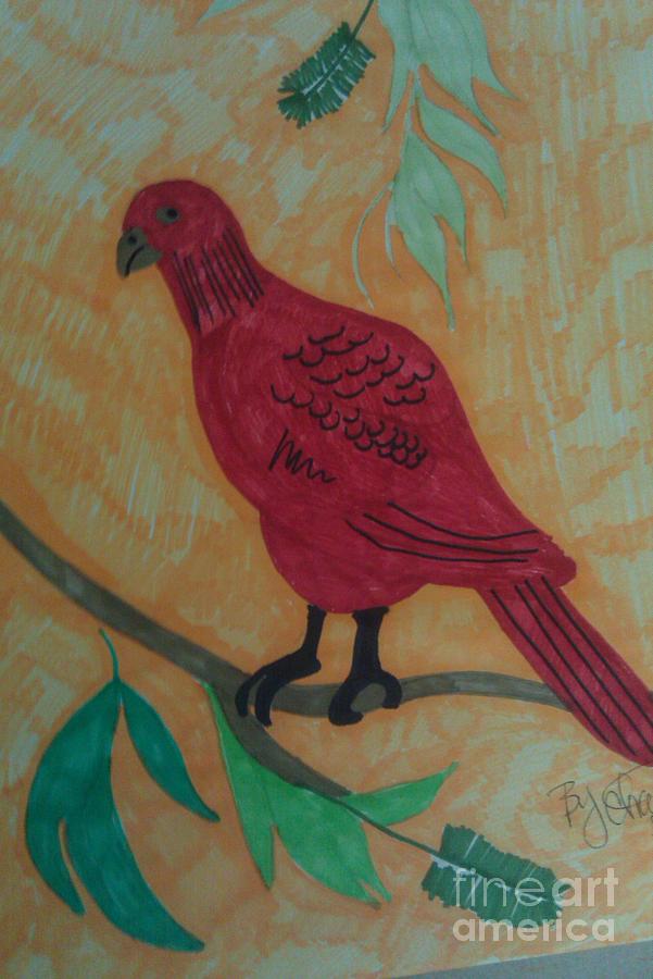 A Red Bird Drawing By Charita Padilla