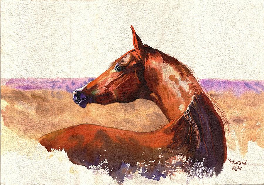 A red Brown Horse with a desert background by Makarand Joshi A red Brown Horse with a desert background by Makarand Joshi