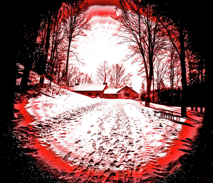 A Red Cabin in the Woods Digital Art by David Stasiak