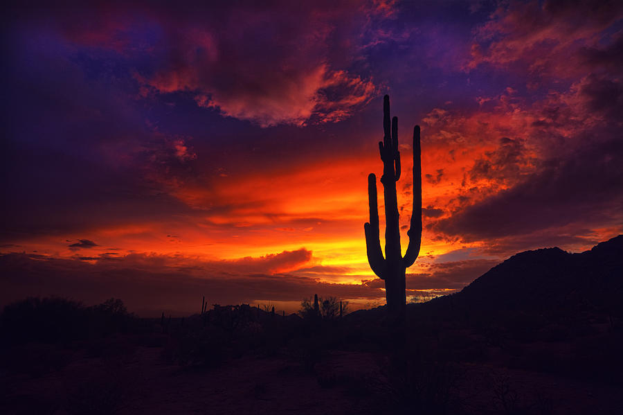 Sunset Photograph - A Red Hot Sonoran Sunset  by Saija Lehtonen