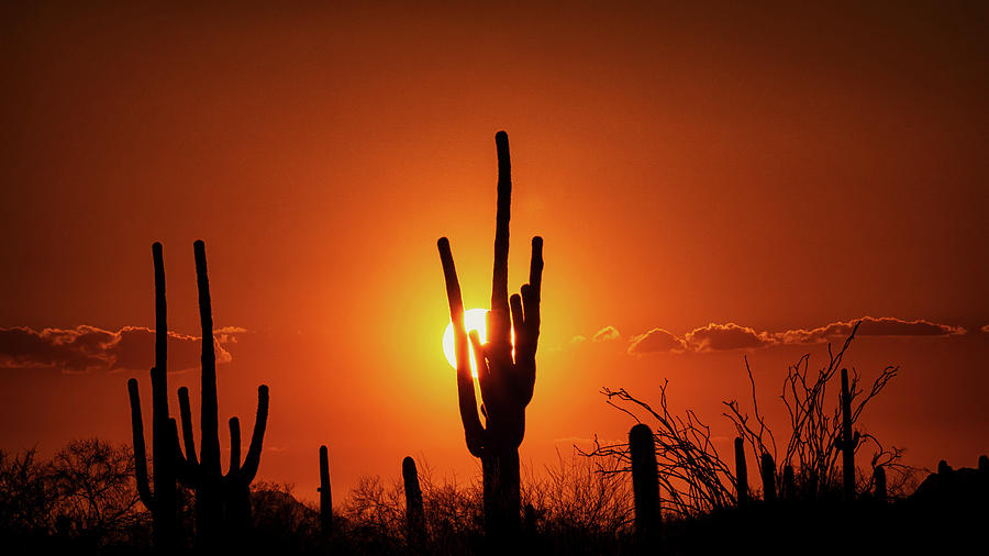 A Red Hot Southwest Sunset  Photograph by Saija Lehtonen