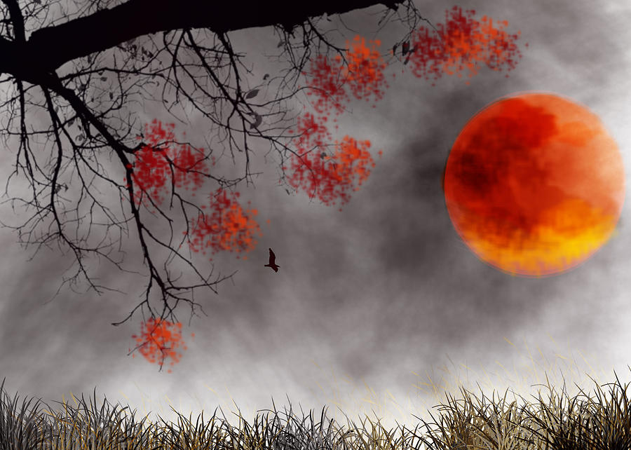 A Red Moon Day Digital Art by Trilby Cole Pixels