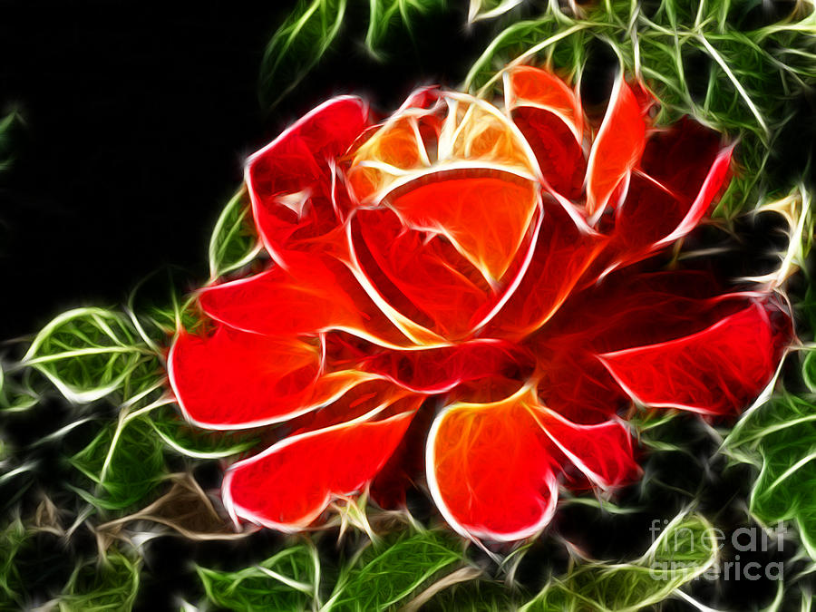A Red Rose For You Digital Art