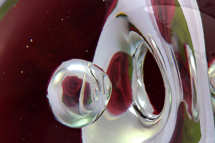 Rose Photograph - A Reflected Red Rose by Phyllis Denton