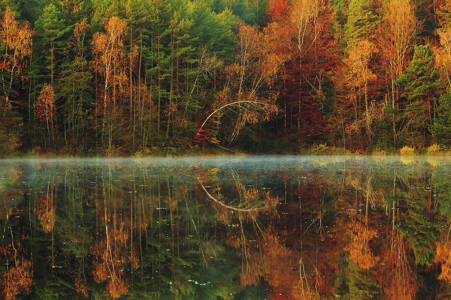 A Reflective Autumn Photograph by Mountain Dreams