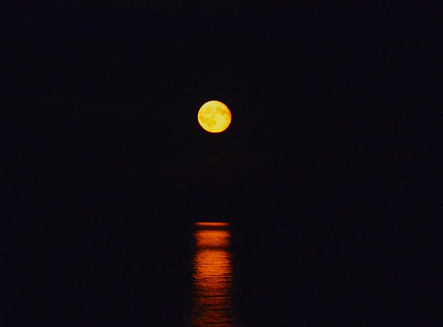 A Reflective Moon Photograph by Hella Buchheim