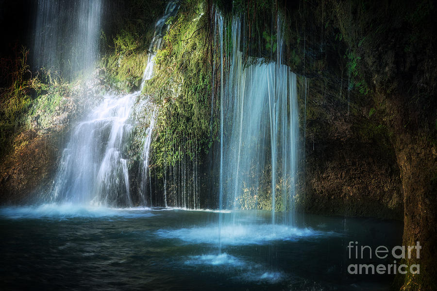 Tree Photograph - A Resting Place at Natural Falls by Tamyra Ayles