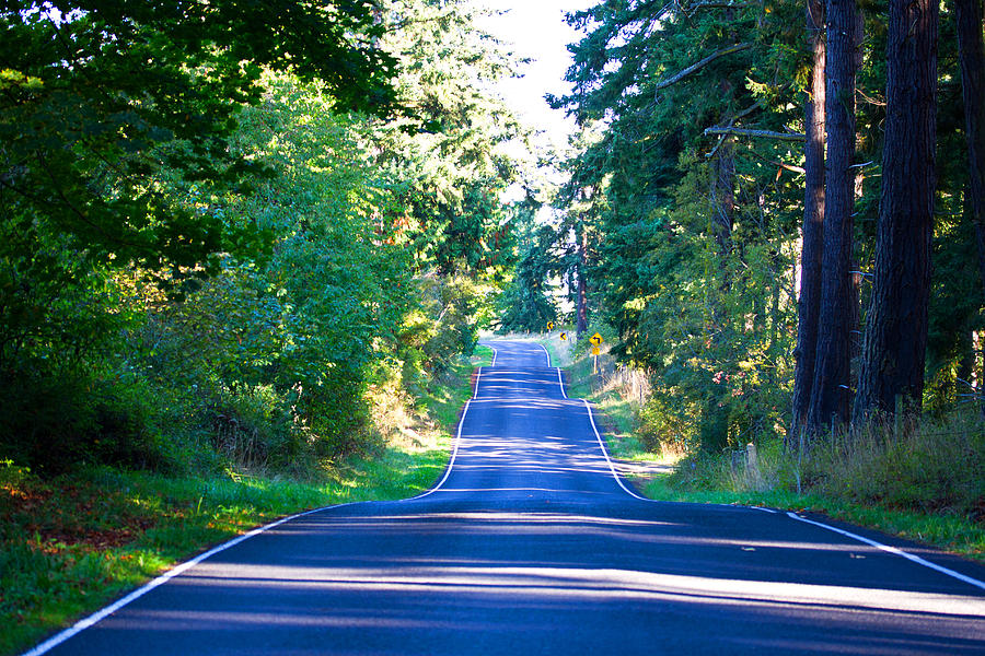 A Ribbon of a Road - Blue Road - Highway Photograph by Marie Jamieson