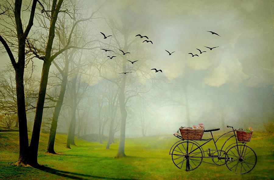A Ride in the Park Digital Art by Diana Angstadt