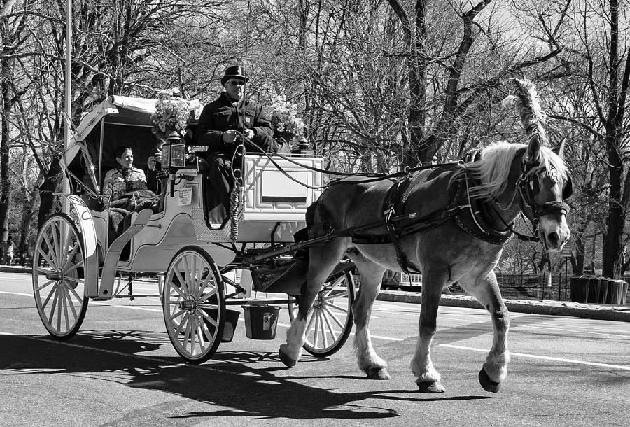 Central Park Photograph - A Ride Through Central Park by Ericamaxine Price
