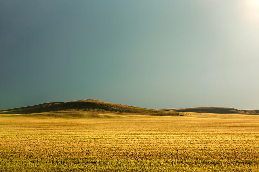 A Rise on the Plains Photograph by Todd Klassy