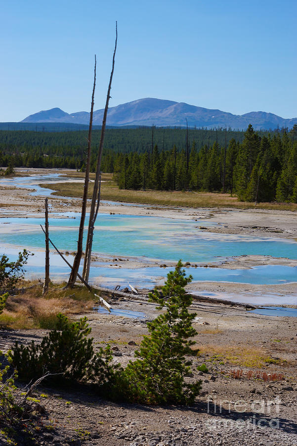 A River at Norris Geyser Photograph by Jennifer White