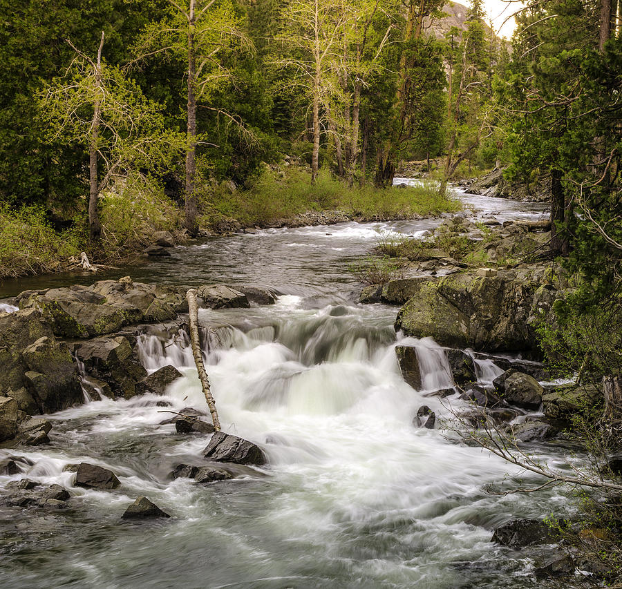 A River Flows Photograph by Janet  Kopper