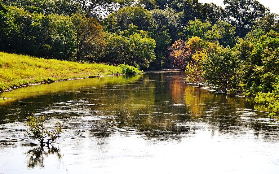 A River Among Trees Photograph By Gaby Ethington Fine Art America 