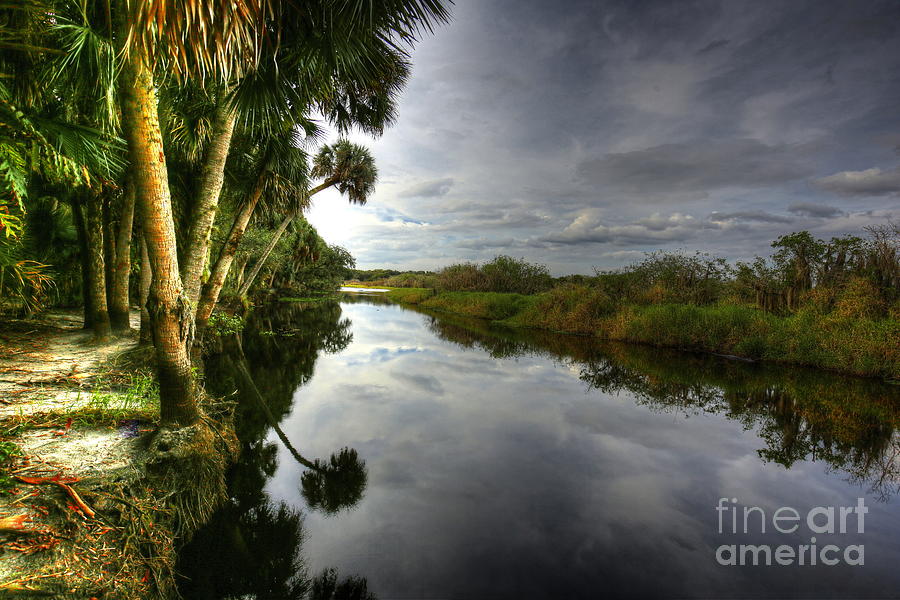 A River In The Tropics Photograph by Felix Lai