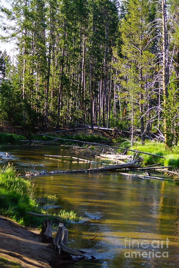 A River in Yellowstone Photograph by Jennifer White