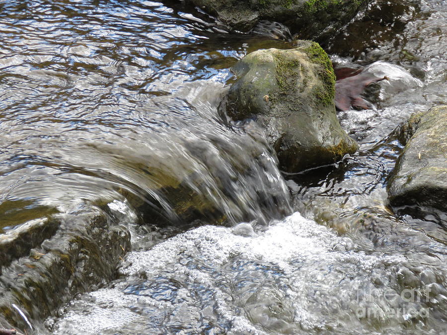 A River runs through it Photograph by Anita Adams