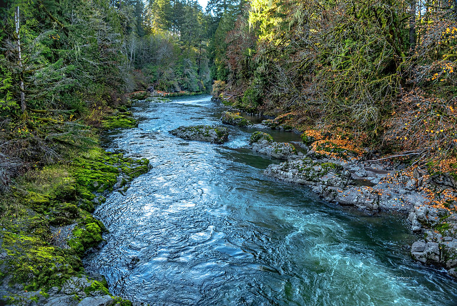 A River runs through it Photograph by Bill Posner