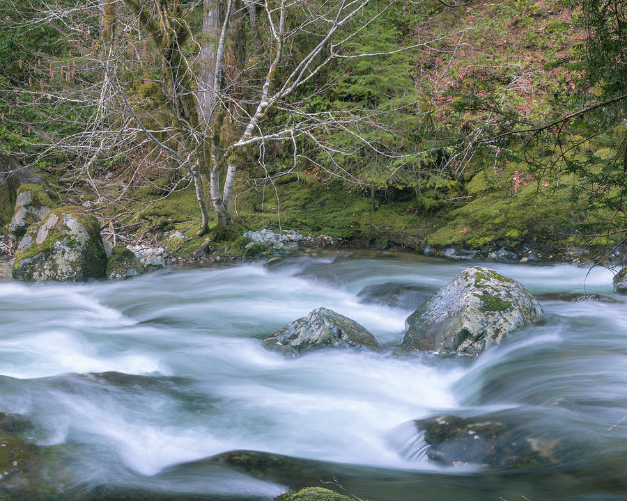 A River Runs Through It Photograph by Catherine Avilez
