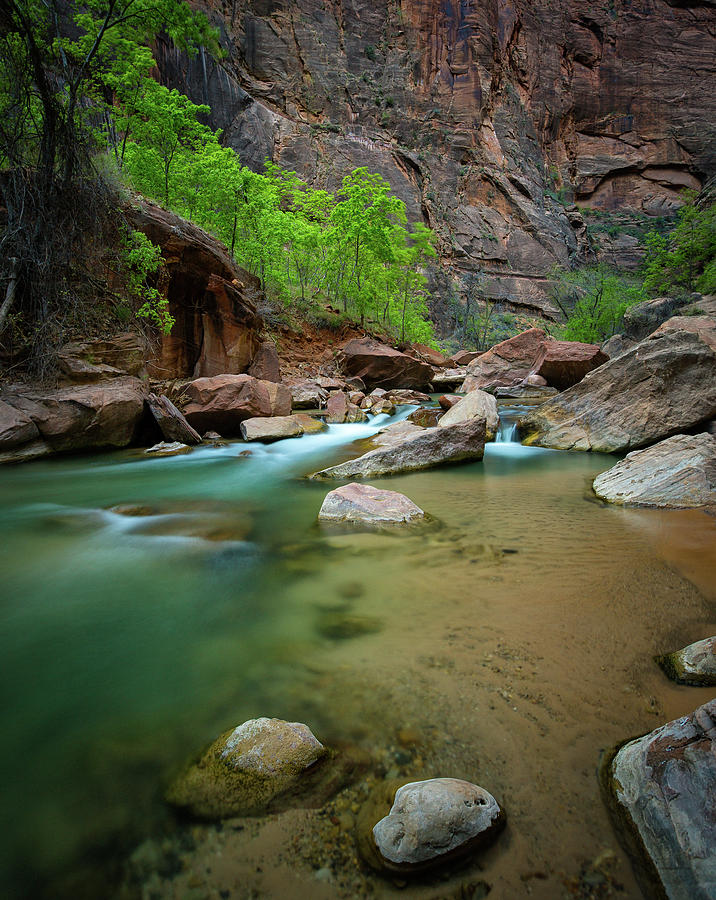 A River Runs Through It Photograph by CEB Imagery - Fine Art America