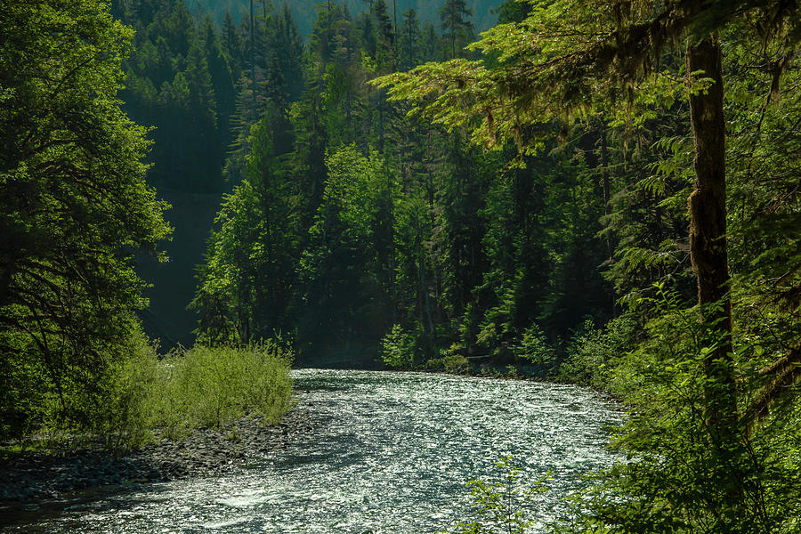 A River Runs Through It Photograph by Doug Scrima