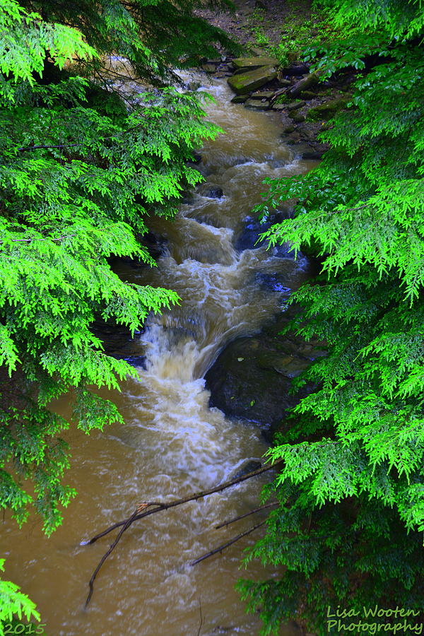 A River Runs Through It Photograph by Lisa Wooten