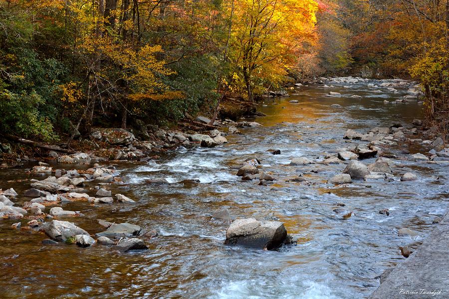 Fall Photograph - A River Runs Through It by Patricia Twardzik