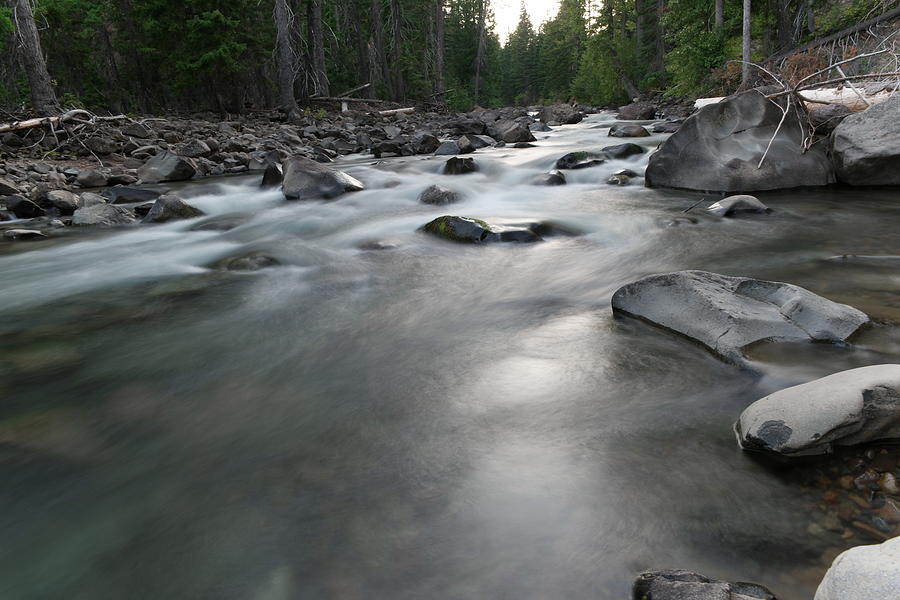 A river through the forest Photograph by Jeff Swan