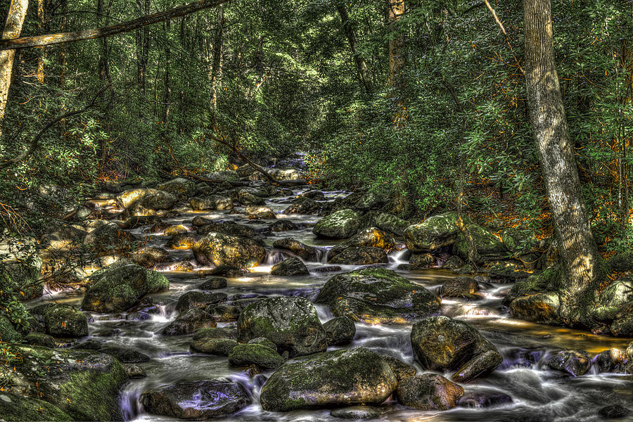 A River Through The Woods Photograph