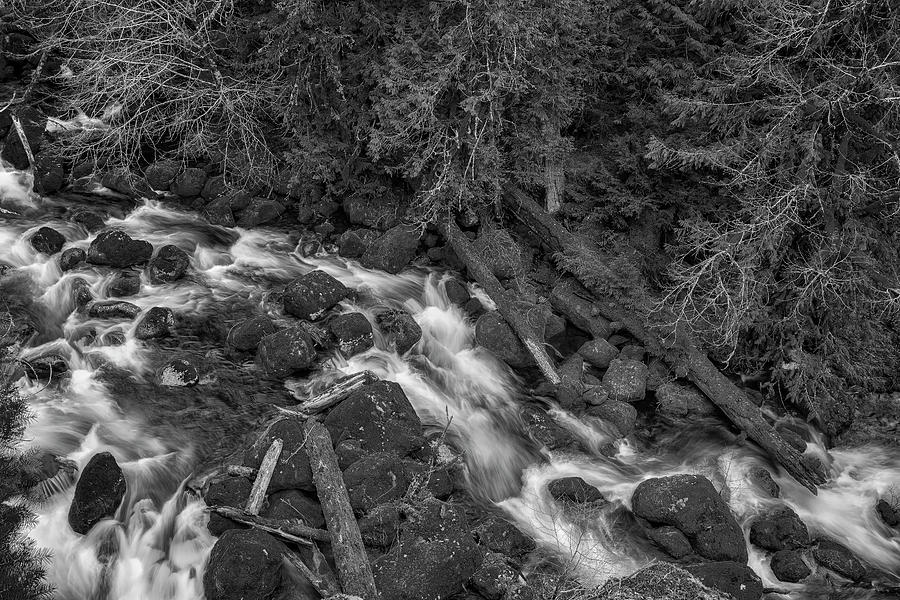 A Rivers Path bw Photograph by Belinda Greb