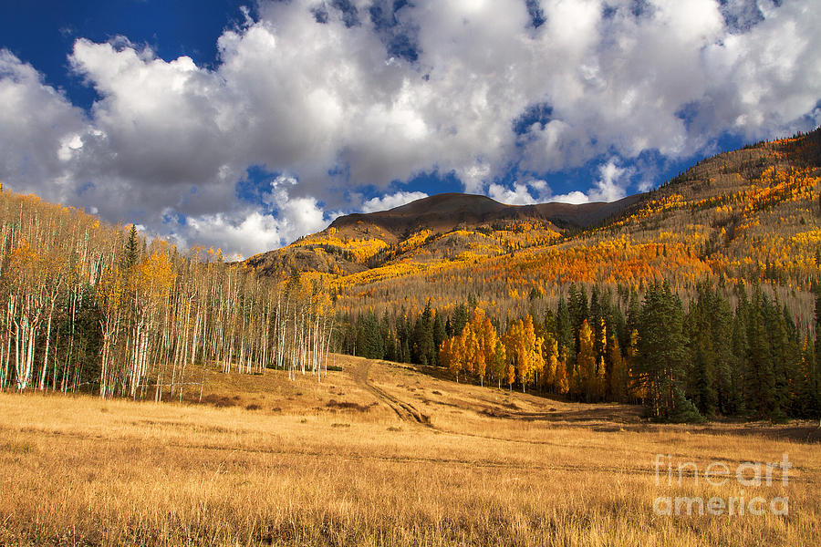Autumn Colors Photograph - A Road Less Traveled by Jim Garrison