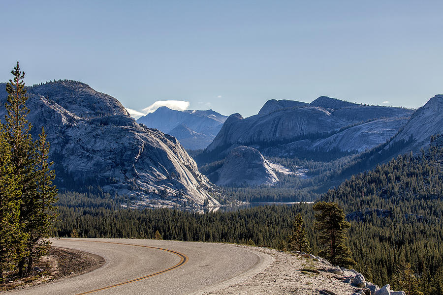 Yosemite National Park Photograph - A Road To Follow by Everet Regal