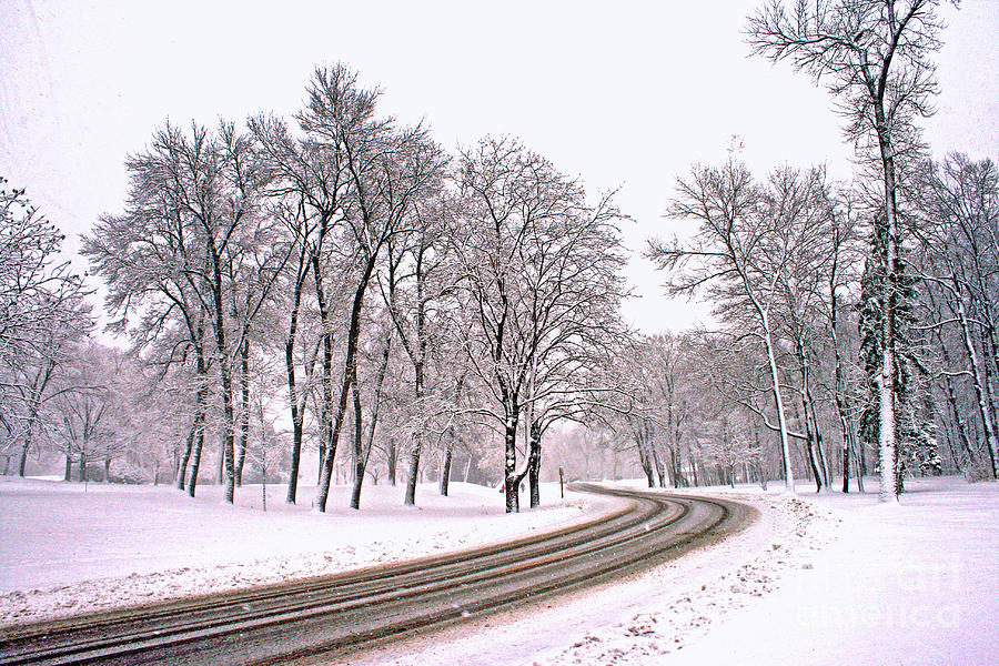 A Road To Winter Photograph by Kay Novy