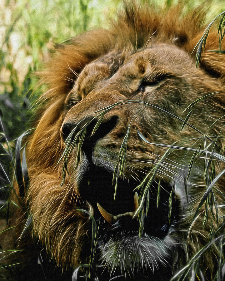 Lion Digital Art - A Roar in the Grass Digital Art by Ernest Echols