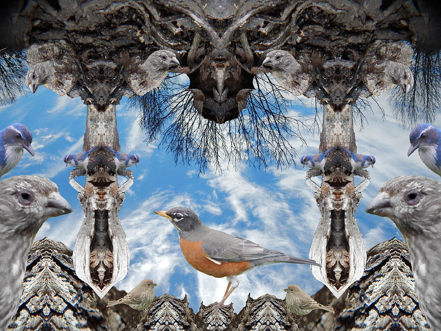 A Robin in a Dream Digital Art by Glen Faxon